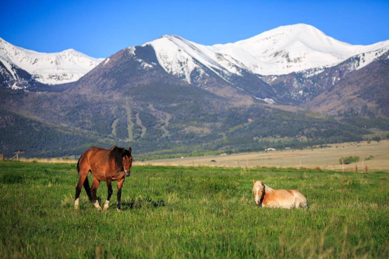 Hillside Colorado Cottages Exteriér fotografie